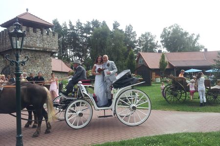 Hochzeitspaar im Märchenpark